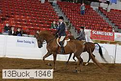 13buck_1846 proof