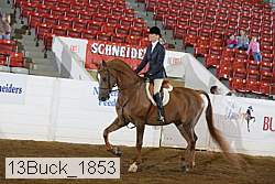 13buck_1853 proof