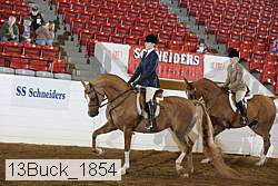 13buck_1854 proof