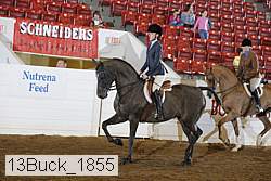 13buck_1855 proof
