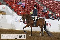 13buck_1861 proof