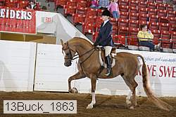 13buck_1863 proof