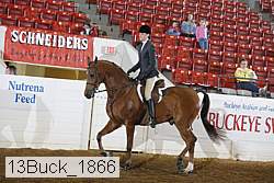 13buck_1866 proof