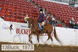13buck_1873 proof