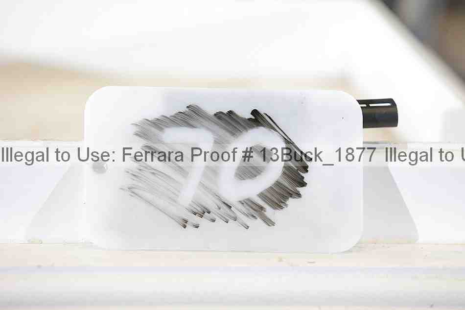 Proof 13buck_1877