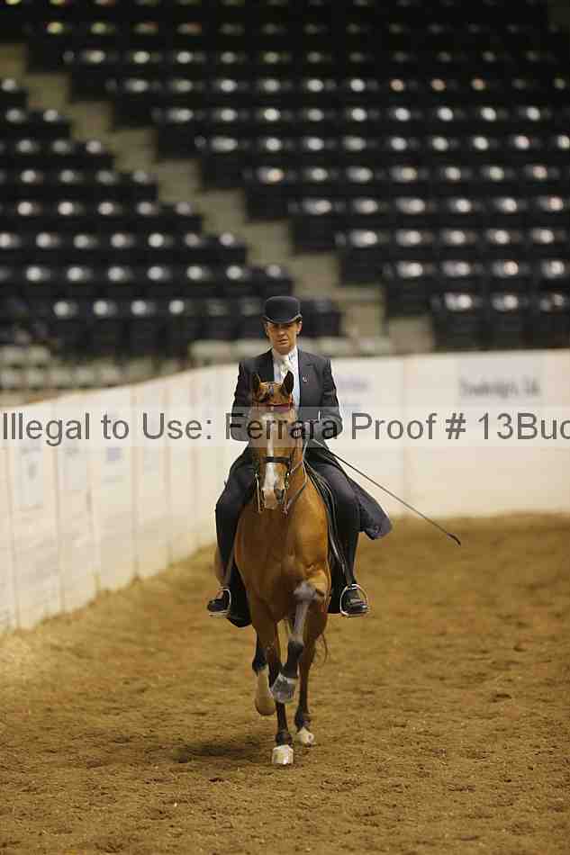 Proof 13buck_1880