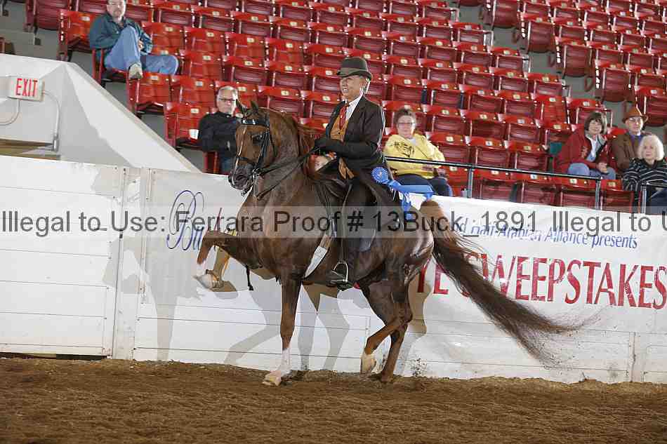 Proof 13buck_1891