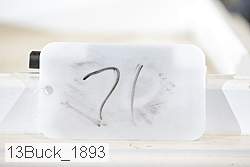 13buck_1893 proof