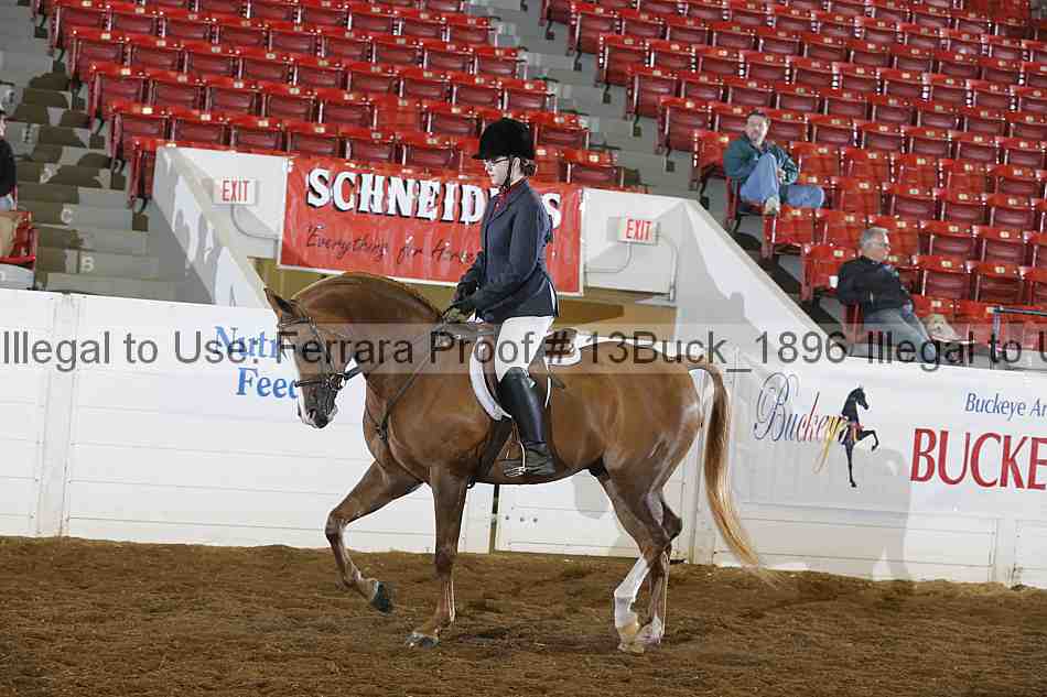 Proof 13buck_1896