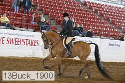 13buck_1900 proof