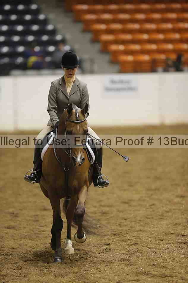 Proof 13buck_1902