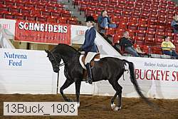 13buck_1903 proof