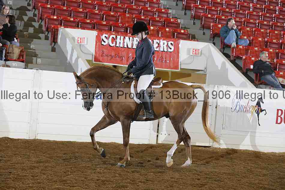 Proof 13buck_1906