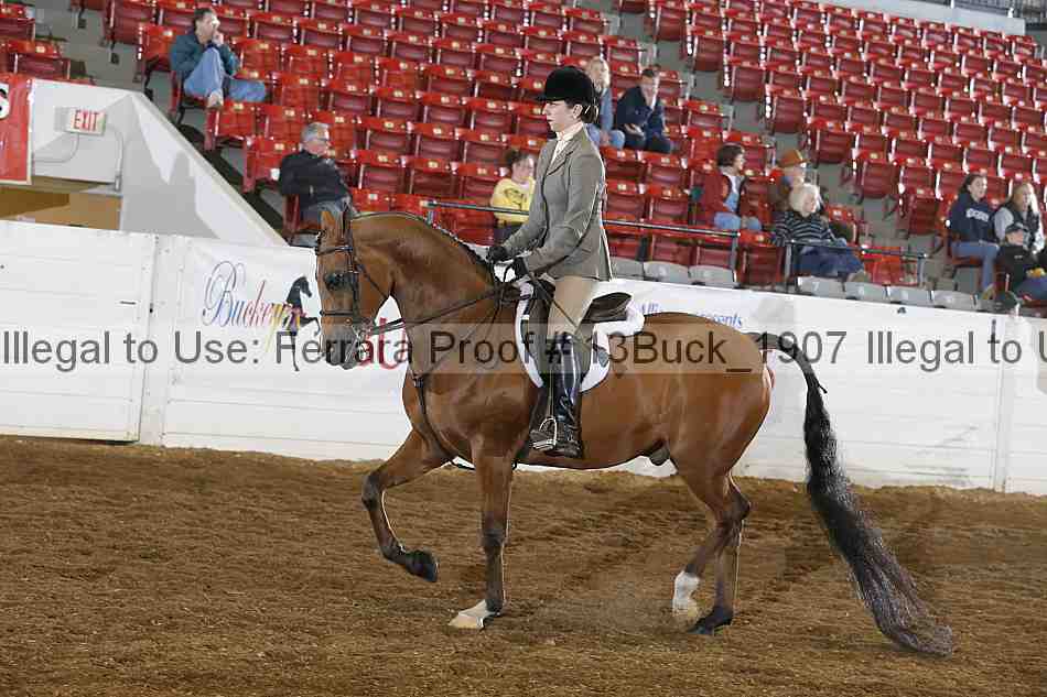 Proof 13buck_1907