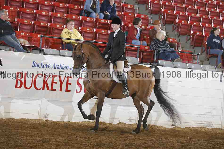Proof 13buck_1908