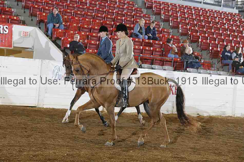 Proof 13buck_1915