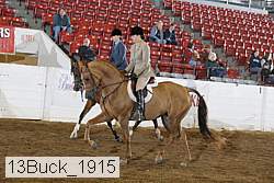 13buck_1915 proof