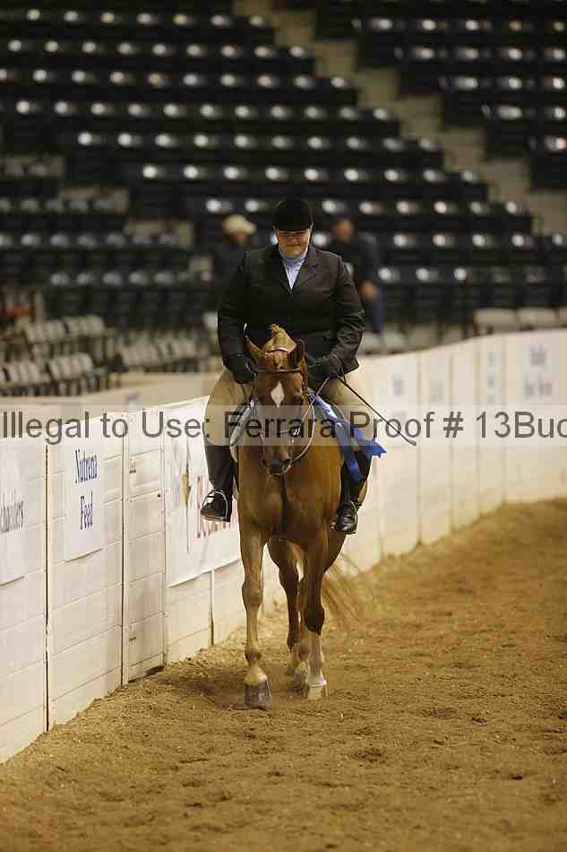 Proof 13buck_1955