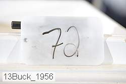 13buck_1956 proof