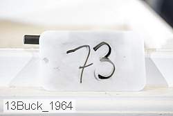 13buck_1964 proof