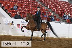 13buck_1966 proof