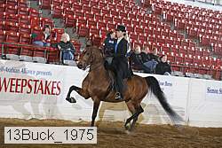 13buck_1975 proof