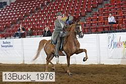 13buck_1976 proof
