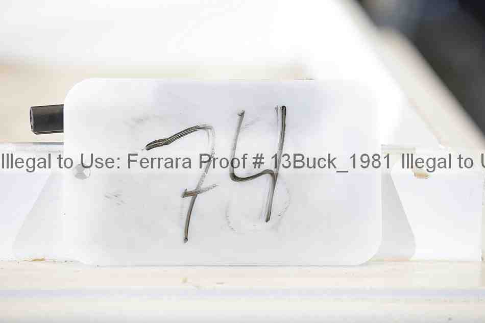 Proof 13buck_1981