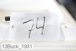 13buck_1981 proof