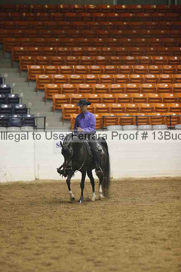 Proof 13buck_1982