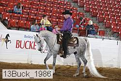 13buck_1986 proof