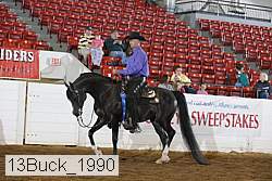 13buck_1990 proof