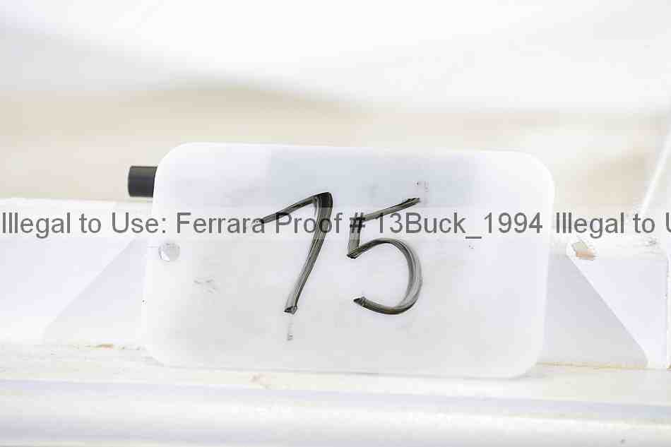 Proof 13buck_1994