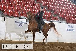 13buck_1995 proof