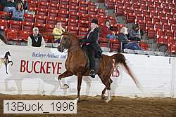 13buck_1996 proof