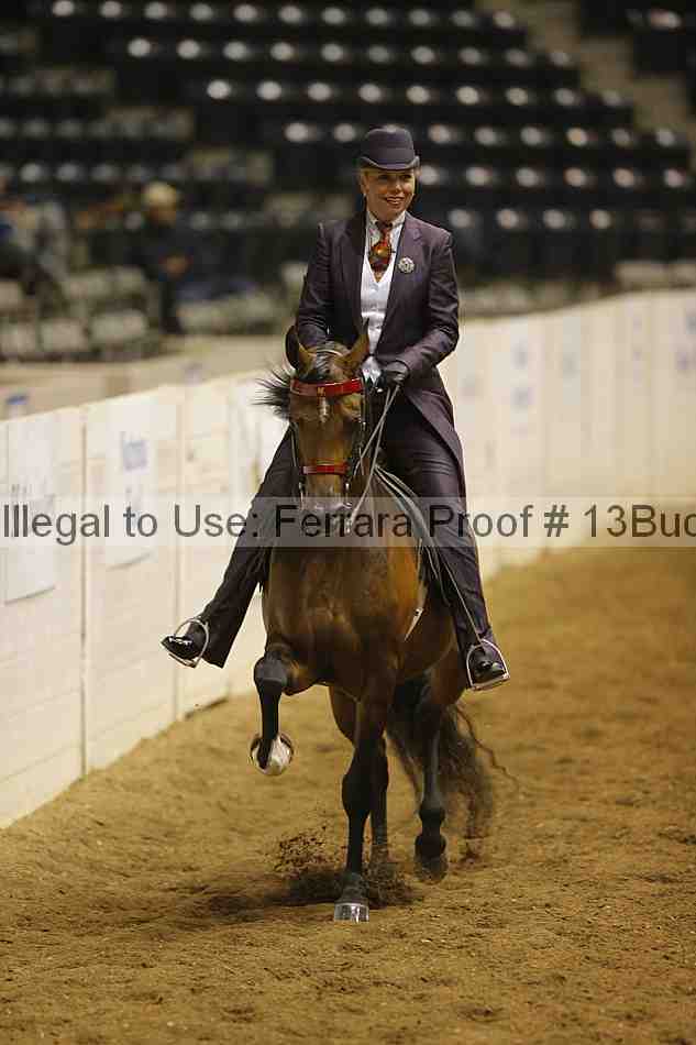 Proof 13buck_2001