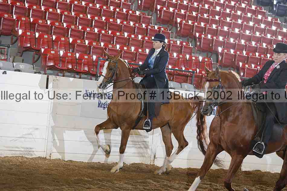 Proof 13buck_2002