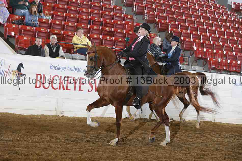 Proof 13buck_2003
