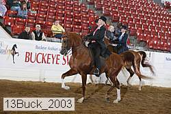 13buck_2003 proof
