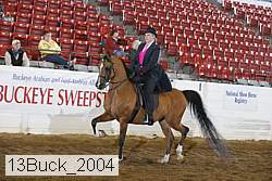 13buck_2004 proof
