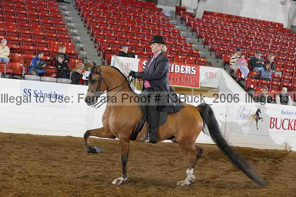 Proof 13buck_2006