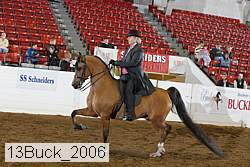 13buck_2006 proof