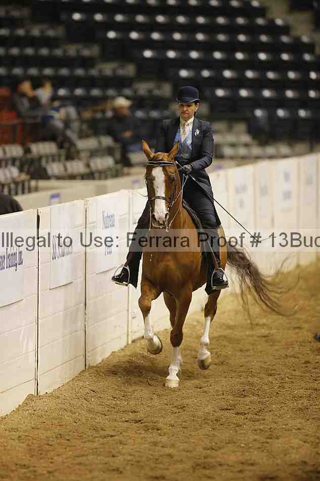 Proof 13buck_2007