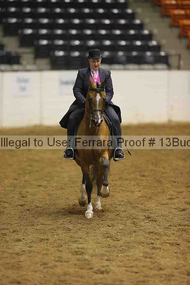 Proof 13buck_2008