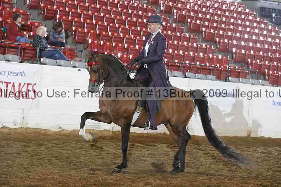 Proof 13buck_2009