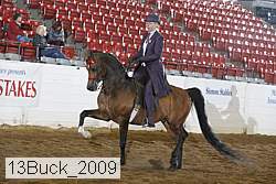 13buck_2009 proof