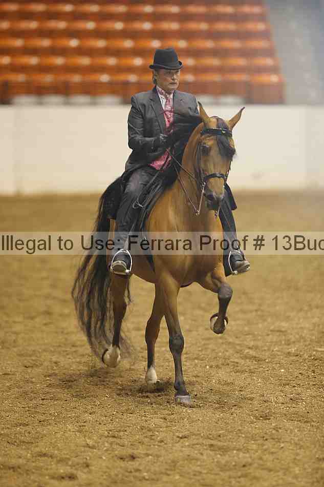 Proof 13buck_2010