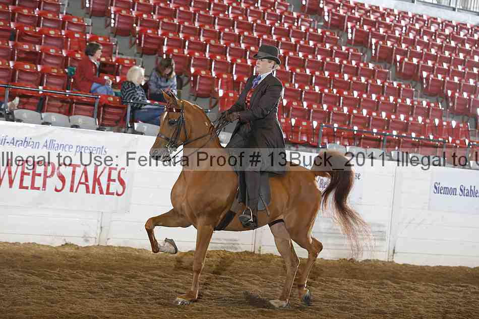 Proof 13buck_2011