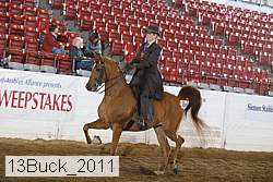 13buck_2011 proof
