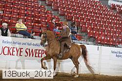 13buck_2012 proof